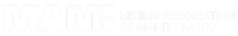 Logo MAMI White